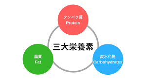 三代栄養素はたんぱく質・脂質・炭水化物から構成されている